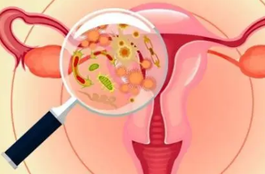 子宫内膜炎影响试管移植