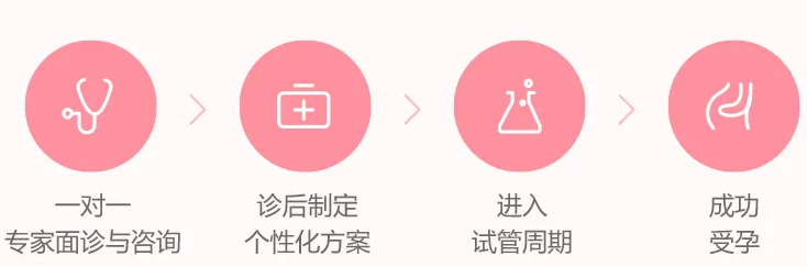 国内试管套餐.png
