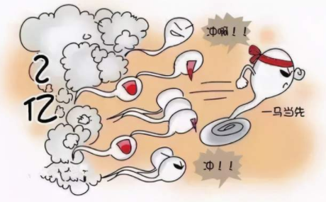 怀孕主要靠a类精子吗