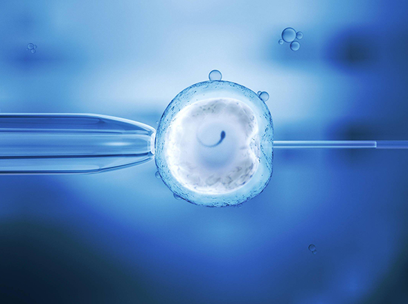 打达必佳具体时间要根据个人生物钟决定