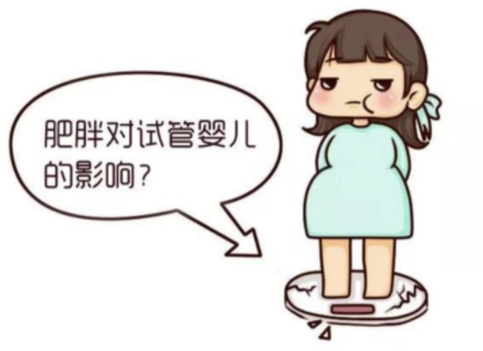 肥胖症做试管婴儿能避免遗传