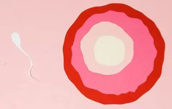 f93ef6a9cfe18d1ef613f65af9825f6a6f79b.png