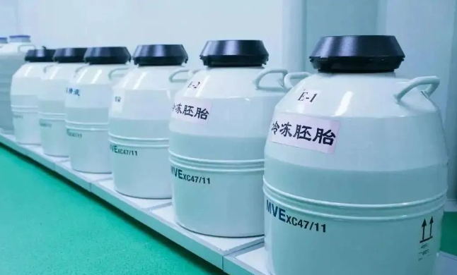 移植囊胚的成功率高
