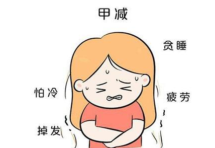 甲减患者做试管婴儿.png