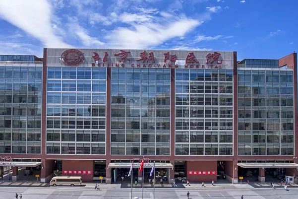 朝阳医院的试管技术成熟