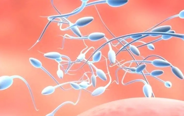 精子密度正常值为15-200百万/ml