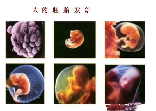 d5a73cc6-f3cf-4cc2-a384-280fc67f65e1